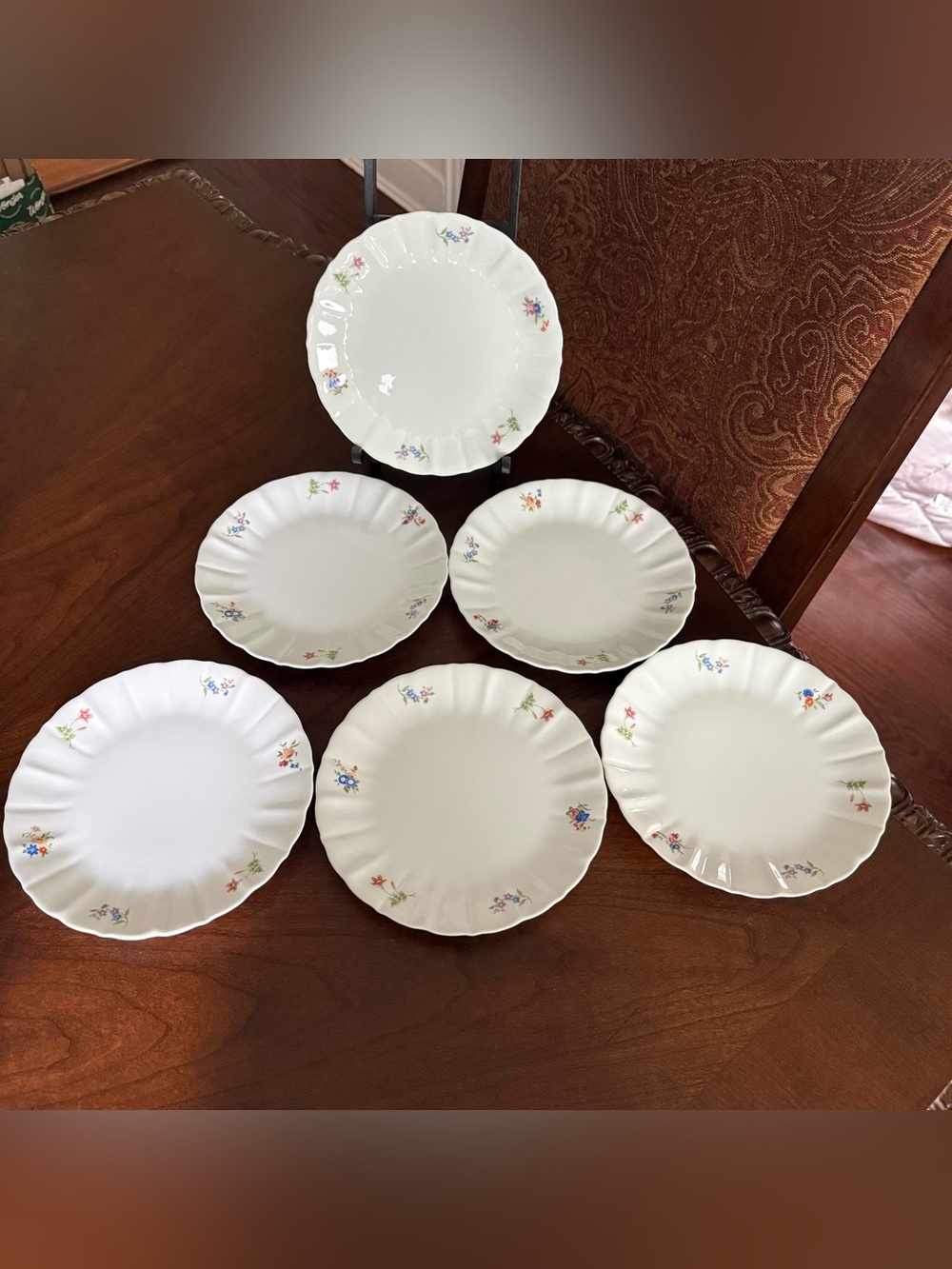 Set of 6 B.I.A. Cordon Bleu The Frieda Collection 7.25” Porcelain Salad Plates